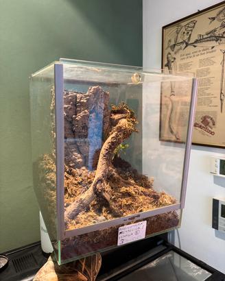 Teca terrario 30 x 25 x 25