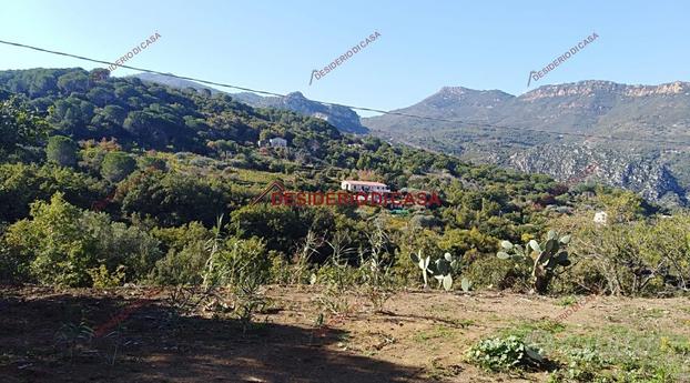 Terreno, Cefalù.