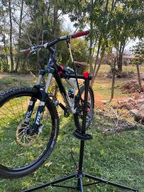 Bici specialazed  sx