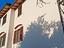Immagine 7