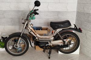 Califfone Più  Rizzato