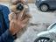 Immagine 2