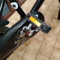 Bicicletta bambino 5/6anni