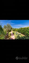Villa con giardino e posto auto privato