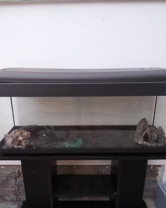 Acquario