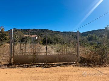 Terreno loc. galtelli