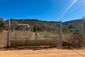 Terreno loc. galtelli