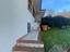 Immagine 16