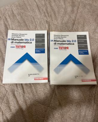 Manuale blu 2.0 di matematica