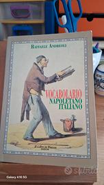 Vocabolario napoletano-italiano" di Raffaele Andre
