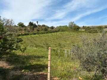 Terreno agricolo Canicattì 6 tumuli