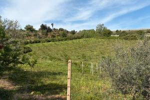Terreno agricolo Canicattì 6 tumuli