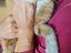 Immagine 2