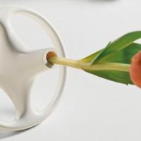 Cappellini Vaso Monofiore NUOVO