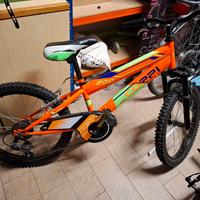 MTB COPPI 20 
