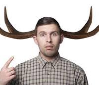 FERMA CAPELLI FRONTINI