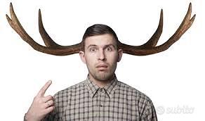 FERMA CAPELLI FRONTINI