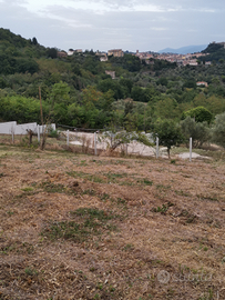 Terreno con concessione edilizia