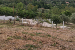 Terreno con concessione edilizia