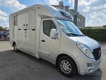 Van trasporto 2 cavalli