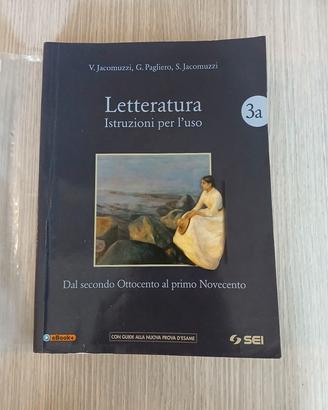 Letteratura. Istruzioni per l'uso 3