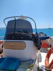 Barca a motore saver 5,50