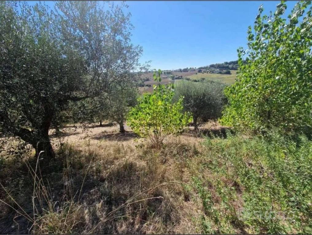 Appartamento – Potenza Picena, Contrada Palazzo Rosso, Montecoriolano - Altro