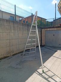 scala facal agri 300