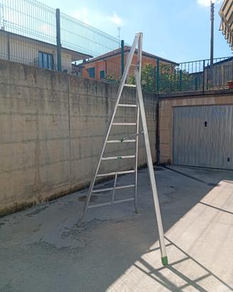 scala facal agri 300