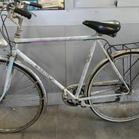 bicicletta da uomo