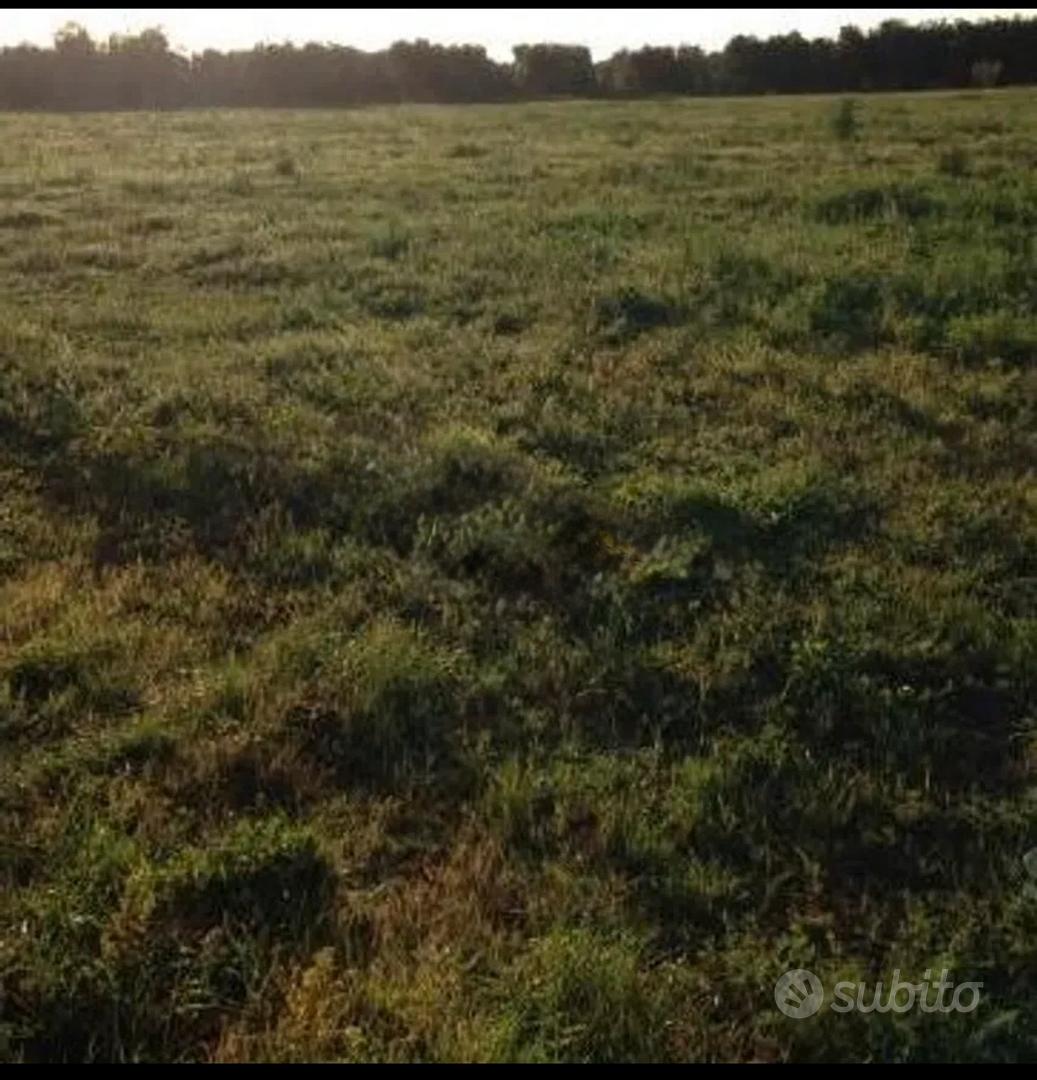 Terreno agricolo-seminativo - Vista 2
