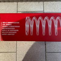 Molle posteriori Fiat Punto