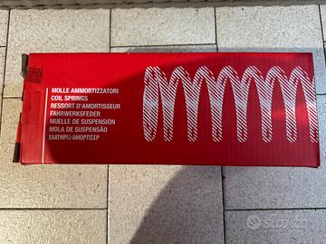 Molle posteriori Fiat Punto