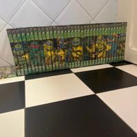 intera collezione Dvd tartarughe ninja