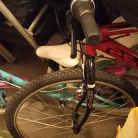 biciclette MTB e da bimba elsa Frozen