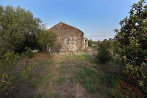 Terreno - Santa Venerina
