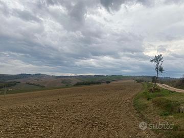 Terreno Agricolo 13,5 Ettari in Umbria
