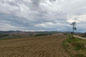 Terreno Agricolo 13,5 Ettari in Umbria
