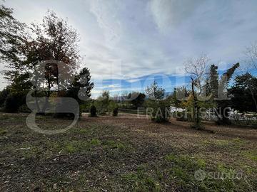 Terreno Agricolo Piedimonte Matese