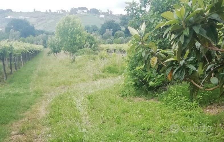 Terreno edificabile Val di Foro - Vista 3
