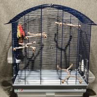 Gabbia per uccelli con posatoi e accessori 🐦