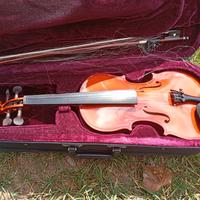 violino 