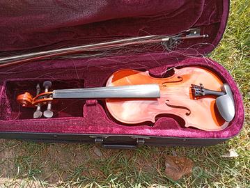 violino 