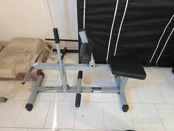 Calf machine Bodysolid