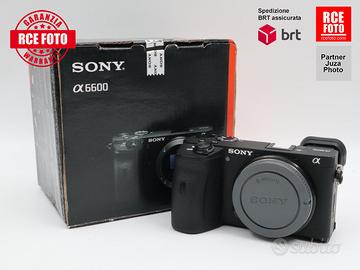 Sony A6600
