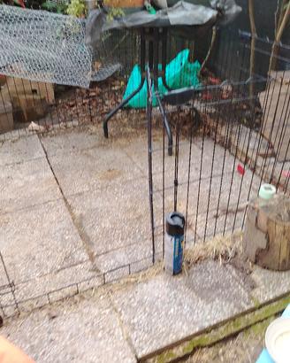 recinto x animali di piccola taglia