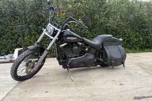 Harley davidson softail night train