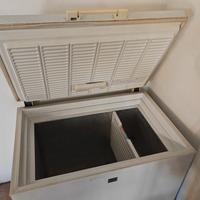 Congelatore Rex Electrolux