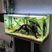 Acquario 200lt