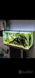Acquario 200lt